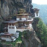 tigers nest